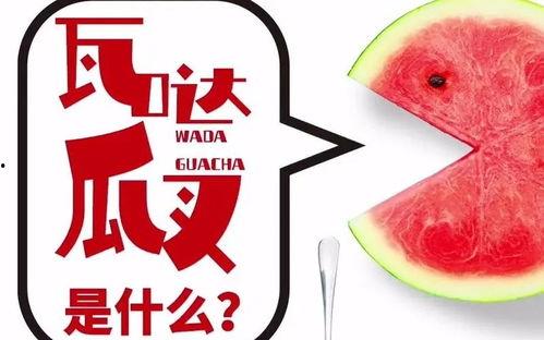 社会瓜 热门瓜 抖音瓜,揭秘社会热门话题背后的故事