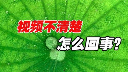 社会瓜 热门瓜 抖音瓜,揭秘社会热门话题背后的故事