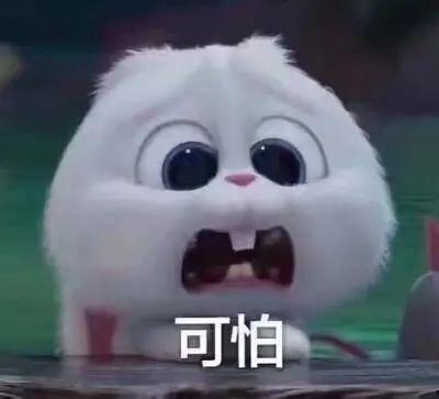 上海热门吃瓜事件真相视频,真相视频曝光背后的真相