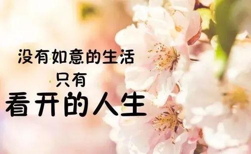 热门话题感悟短句,短句中的深度思考