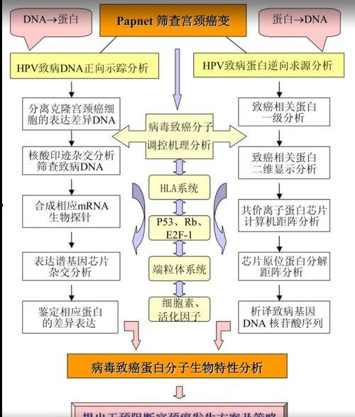 热门话题地图图片,解码当下社会焦点与舆论风向