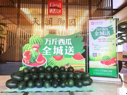 热门吃瓜福利,揭秘娱乐圈幕后故事！