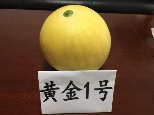热门吃瓜福利,揭秘娱乐圈幕后故事！