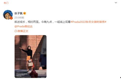 今日吃瓜热评最新消息,揭秘娱乐圈最新八卦风云