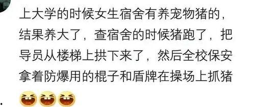 男孩搞笑段子热门话题,热门话题引发爆笑狂欢